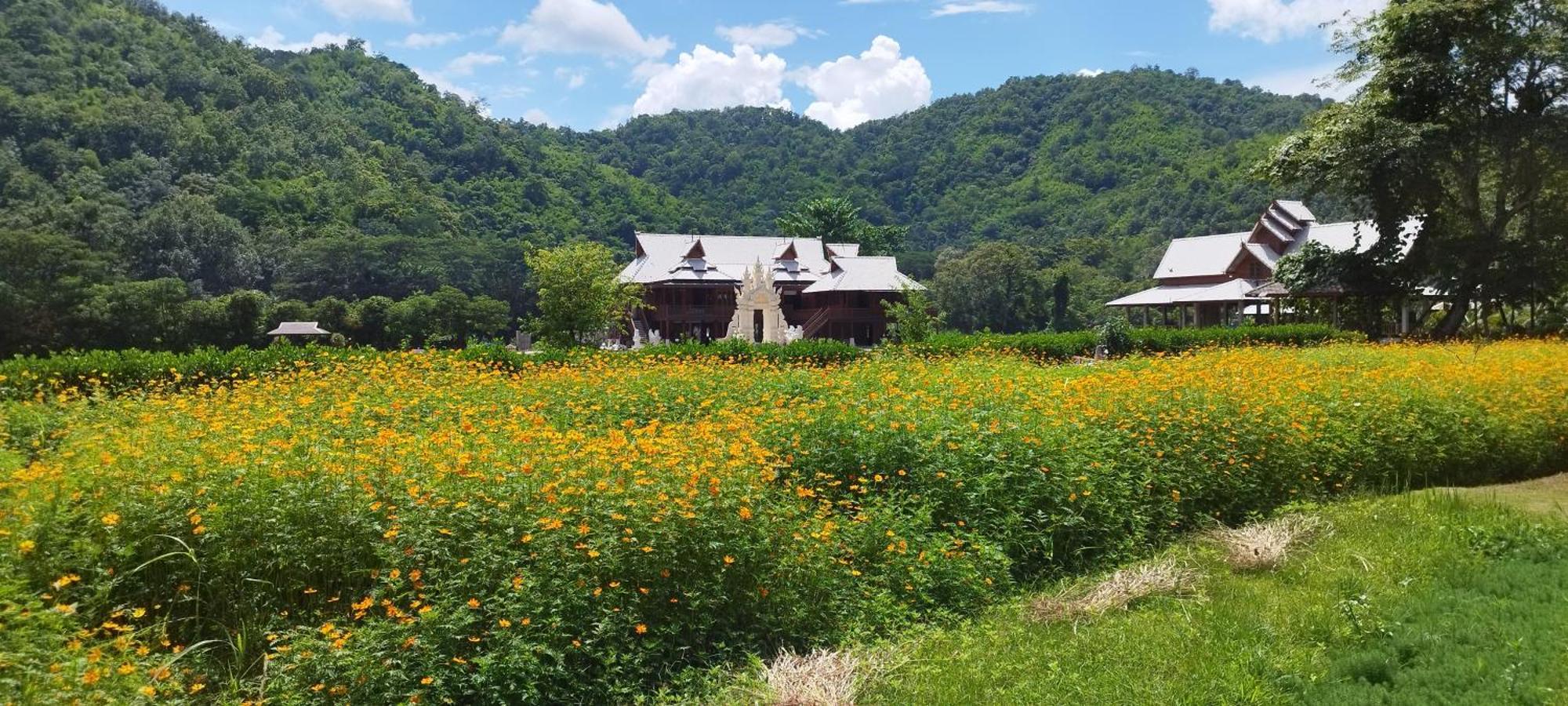 La Villa De Madame Su 치앙마이 외부 사진